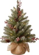 🎄 national tree company green dunhill fir pre-lit mini christmas tree - 2 feet, white lights, pine cones, berry clusters, frosted branches, includes cloth bag base логотип