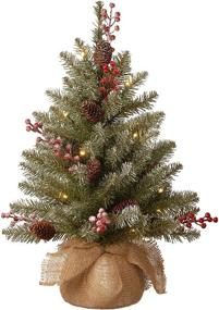 img 4 attached to 🎄 National Tree Company Green Dunhill Fir Pre-Lit Mini Christmas Tree - 2 Feet, White Lights, Pine Cones, Berry Clusters, Frosted Branches, Includes Cloth Bag Base