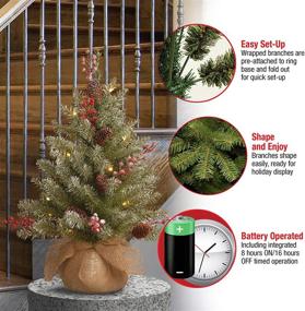 img 1 attached to 🎄 National Tree Company Green Dunhill Fir Pre-Lit Mini Christmas Tree - 2 Feet, White Lights, Pine Cones, Berry Clusters, Frosted Branches, Includes Cloth Bag Base