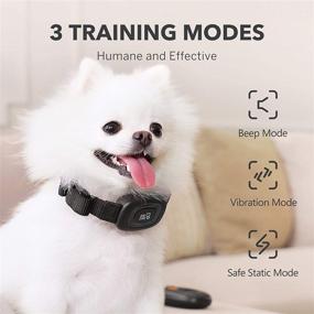 img 1 attached to DOG CARE Rechargeable Dog Training Collar with Remote - Beep, Vibration, and Shock Modes - for Large, Medium, Small Dogs - Waterproof E-Collar for Dogs