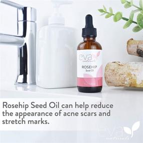 img 2 attached to 🌹 Organic Rosehip Seed Oil by Eva Naturals - 2oz Natural Face Serum Helps Diminish Stretch Marks and Acne Scars - Reduces Inflammation, Enhances Collagen to Reveal Radiant Skin - High-Quality, Unrefined Formula