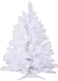 img 4 attached to Vickerman 2' Crystal White Spruce Artificial Christmas Tree with Dura-lit Lights - Seasonal Indoor Home Decor