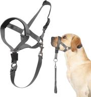 comfortable no-pull dog head collar with adjustable buckle - training guide included for medium to large dogs logo