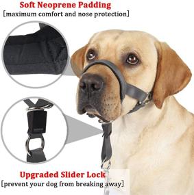 img 1 attached to Comfortable No-Pull Dog Head Collar with Adjustable Buckle - Training Guide Included for Medium to Large Dogs