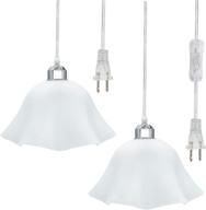 🌸 2-pack plug in pendant light with on/off switch, 15ft clear cord, frosted plastic white shade - ideal for living room, hall, bedroom - flower lampshade design logo