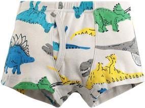 img 1 attached to 🦖 Dinosaur Bulldozer Motorcycle Boys' Underwear: Breathable Athletic Clothing for Active Kids