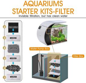 img 2 attached to 🐠 Hygger 5 Gallon Aquarium Starter Kit- Arc-Shaped Fish Tank with 3.2W LED Lighting, Concealed Filtration Box, 5W Water Pump, Rainwater & Duck's Mouth Outlet, Glass Cover