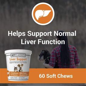img 4 attached to 🐾 Vet Classics Liver Support Supplement for Dogs and Cats – Enhances Liver Functions – B-Vitamins, Glutathione, Milk Thistle – Soft Tablets and Chews