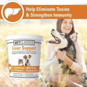 img 3 attached to 🐾 Vet Classics Liver Support Supplement for Dogs and Cats – Enhances Liver Functions – B-Vitamins, Glutathione, Milk Thistle – Soft Tablets and Chews