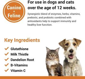 img 1 attached to 🐾 Vet Classics Liver Support Supplement for Dogs and Cats – Enhances Liver Functions – B-Vitamins, Glutathione, Milk Thistle – Soft Tablets and Chews