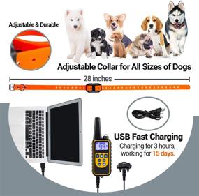 img 1 attached to 2600ft Remote Dog Training Collar - 3 Modes: Beep, Vibration, Shock - Waterproof IPX7 - LED Light - USB Rechargeable - Bark Collar for Small, Medium & Large Dogs