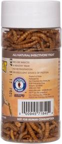img 3 attached to Healthy Herp Insectivore Mealworms 0 95 Ounce