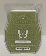 🌧️ scentsy amazon rain bar: wickless candle tart wax, 3.2 fl oz - 8 squares - buy now on amazon logo