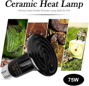 img 1 attached to 🔥 OMAYKEY 2 Pack 75W Ceramic Heat Lamp with Digital Thermometer - Infrared Reptile Heat Emitter for Pet Brooder, Coop, Chicken, Lizard, Turtle, Snake, Aquarium - No Light, No Harm