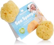 baby bath sponge - 2 pack 3-4” - natural, extra soft, and skin-friendly - ideal for baby bathing and gentle facial care - newborn friendly baby sponge logo