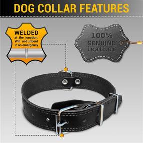 img 2 attached to Premium Genuine Leather Dog Collar – Classic & Heavy Duty Design for Large Dogs