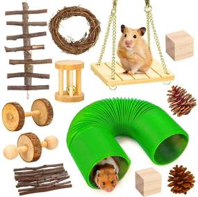 img 4 attached to Guinea Chinchilla Hamster Natural Accessories