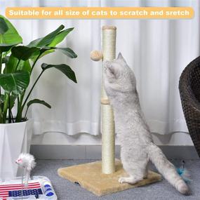 img 2 attached to 🐱 Petellow 31'' Tall Cat Scratching Post with Hanging Ball - Durable Furniture for Large Indoor Cats - Sisal Claw Scratcher - 4 Colors Available