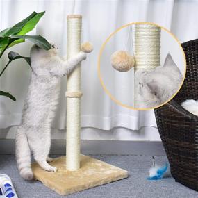 img 1 attached to 🐱 Petellow 31'' Tall Cat Scratching Post with Hanging Ball - Durable Furniture for Large Indoor Cats - Sisal Claw Scratcher - 4 Colors Available