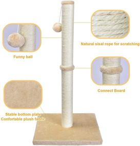 img 3 attached to 🐱 Petellow 31'' Tall Cat Scratching Post with Hanging Ball - Durable Furniture for Large Indoor Cats - Sisal Claw Scratcher - 4 Colors Available