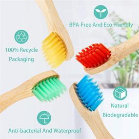 img 2 attached to 🐼 Set of 16 Eco-Friendly Kids Bamboo Toothbrushes - Soft Bristles, Natural Wooden Handles, Colorful Bristles, Ergonomic Animal Designs