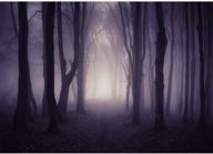 mystical misty forest halloween backdrop | allenjoy 7x5ft gloomy grove photography background for enchanting portraits and ghostly theme parties logo