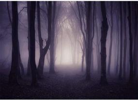 img 4 attached to Mystical Misty Forest Halloween Backdrop | Allenjoy 7x5ft Gloomy Grove Photography Background for Enchanting Portraits and Ghostly Theme Parties