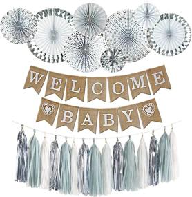 img 3 attached to Bae Belle Decor: Stylish and Chic Gender-Neutral Baby Shower Decorations in Grey and Silver