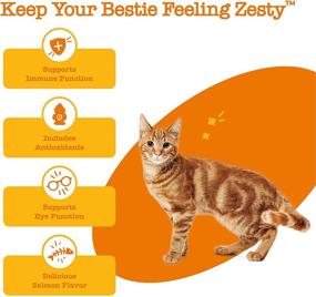 img 3 attached to 🐱 Zesty Paws Lysine Immune Soft Chews for Cats - Advanced Supplement for Cat Immune Support - Salmon Flavor - 60 Count