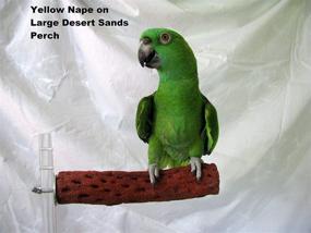 img 3 attached to 🏜️ Polly's Desert Sands Bird Perch: A Perfect Small-Sized Habitat Enrichment for Your Feathered Friends!