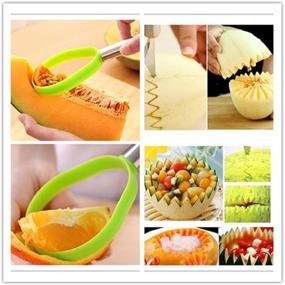 img 2 attached to YuetonFruit Peeler & Hami Melon Corer Stainless Steel Combo Tool for Fruit Bar - Melon Baller & Carver Included