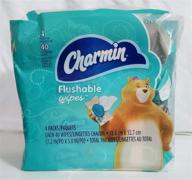 charmin freshmates flushable wipes 160 logo