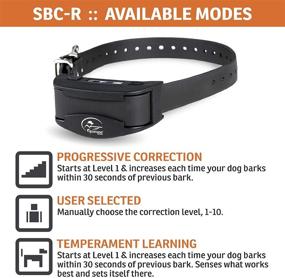 img 3 attached to 🔇 Programmable, Waterproof NoBark Rechargeable Bark Control Collar by SportDOG Brand