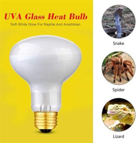 img 1 attached to Aomryom UVA 100W Basking Spot Heat Lamp Bulb - Soft White Light Glass Heat Bulbs for Reptiles & Amphibians - 2 Pack: Efficient Heating Solution