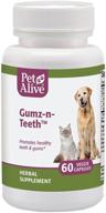 🐾 petalive gumz-n-teeth: natural herbal supplement for healthy teeth and gums in cats and dogs - supports oral health, 60 veggie caps логотип