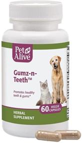 img 3 attached to 🐾 PetAlive Gumz-n-Teeth: Natural Herbal Supplement for Healthy Teeth and Gums in Cats and Dogs - Supports Oral Health, 60 Veggie Caps
