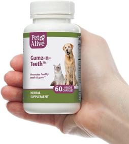 img 1 attached to 🐾 PetAlive Gumz-n-Teeth: Natural Herbal Supplement for Healthy Teeth and Gums in Cats and Dogs - Supports Oral Health, 60 Veggie Caps