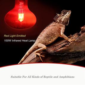 img 2 attached to 🔥 WUHOSTAM 100W Heat Lamp Red Pet Light UVA Spot Lamp for Reptile and Amphibian Use - Lizard Tortoise Spider Snake Chameleon 2 Pack - Infrared Bulb