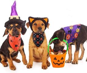 img 2 attached to 🎃 Halloween Pet Costume Accessories: 3-Piece Set of Pet Bandanas with Pumpkin, Spider, and Witch Hat Prints - Triangle Bandana Bibs for Decoration