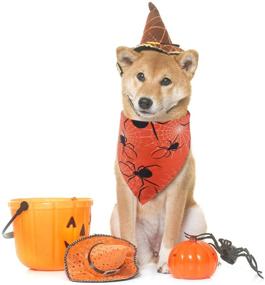 img 3 attached to 🎃 Halloween Pet Costume Accessories: 3-Piece Set of Pet Bandanas with Pumpkin, Spider, and Witch Hat Prints - Triangle Bandana Bibs for Decoration