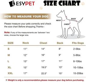 img 1 attached to 🐶 Lesypet Waterproof Leather Dog Coats for Small to Medium Dogs - Winter Puppy Jackets