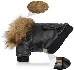 img 3 attached to 🐶 Lesypet Waterproof Leather Dog Coats for Small to Medium Dogs - Winter Puppy Jackets
