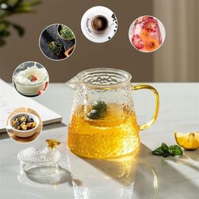 img 2 attached to ☕ Borosilicate Infuser Kettles with Removable Features by PARACITY