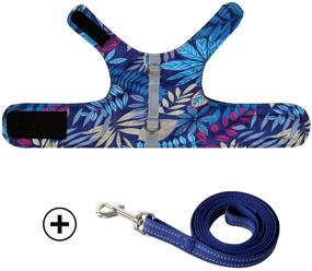 img 3 attached to 🐱 Escape-Proof Cat Harness and Leash: Adjustable Vest for Safe and Comfortable Cat Walking - Air Mesh, Running Cushioning, Easy Control - Outdoor Vest in Blue (Size M)