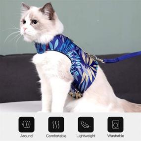 img 1 attached to 🐱 Escape-Proof Cat Harness and Leash: Adjustable Vest for Safe and Comfortable Cat Walking - Air Mesh, Running Cushioning, Easy Control - Outdoor Vest in Blue (Size M)