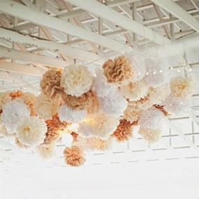 img 3 attached to 🌸 10PCS Mixed Cream Tan Brown White Tissue Paper Pom Poms - Rustic Wedding, Vintage Baby Shower, Birthday, Nursery Hanging Decorations