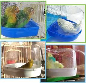 img 3 attached to 🦜 PINVNBY Parrot Bath Box: Bird Bathtub and Perches Set - Ideal for Small Birds Lovebirds Finches Canary - 5 PCS Random Color