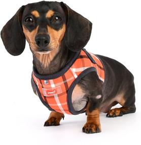 img 1 attached to 🐾 Baxter Vest Harness B by Puppia Life