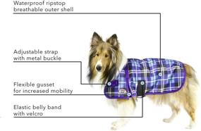 img 3 attached to 🐴 Derby Originals Horse-Tough Ruff Pup 1200D Winter Dog Coat - 2-Year Warranty & 150g Insulation