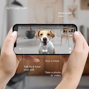 img 1 attached to 🐾 Petcube Bites 2 Lite: WiFi Pet Monitoring Camera with Treat Dispenser, 1080p HD Video, Night Vision, Two-Way Audio, Sound & Motion Alerts – Cat and Dog Monitor App